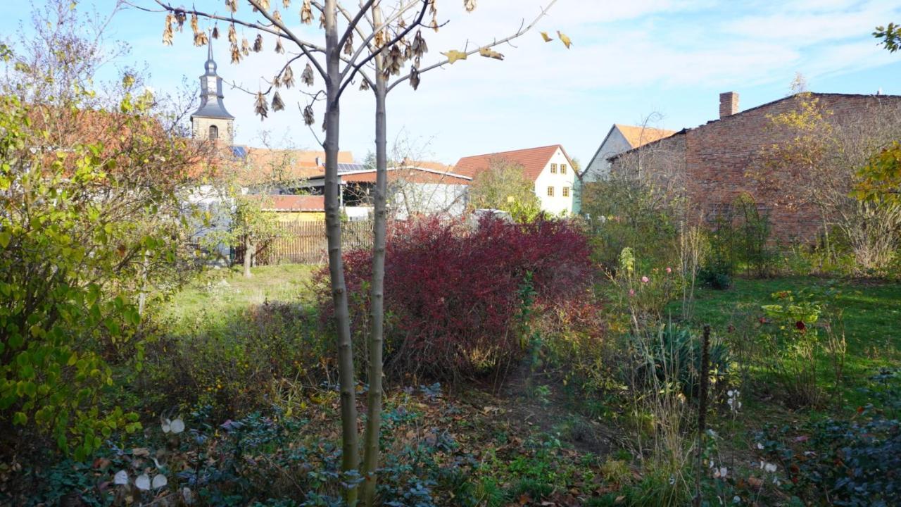 Apartamento Hütte mit Herz im Harz Meisdorf Exterior foto